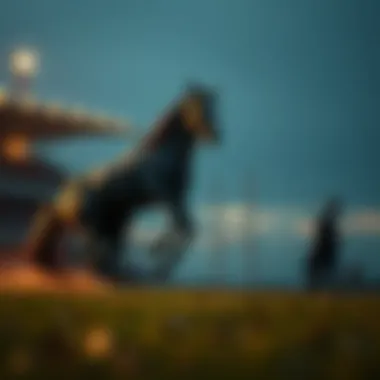 Magnificent 부띠끄 토토사이트에 대한 심층 분석 Magnificent 부띠끄 토토사이트에 대한 심층 분석