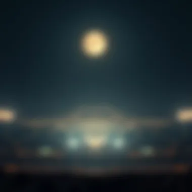 Magnificent 건전한 베팅을 위한 필수 요소