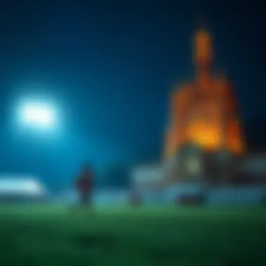 Magnificent 토토시아트의 이해와 활용 Magnificent 토토시아트의 이해와 활용