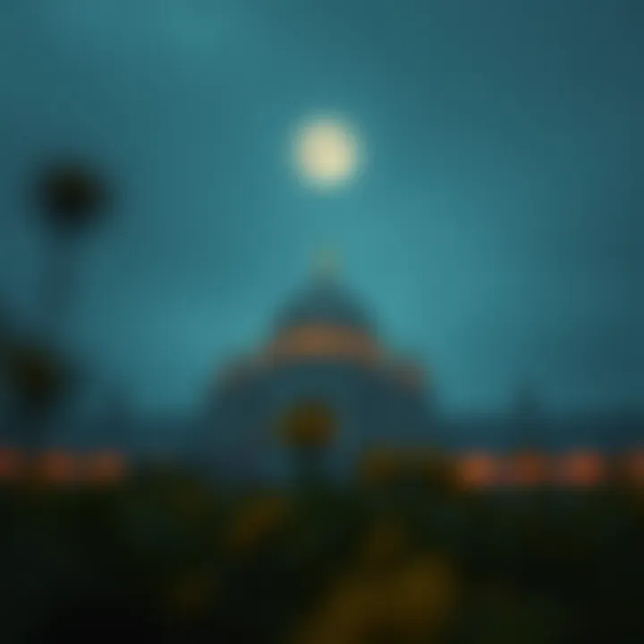 Magnificent 야구결과: 분석과 전략