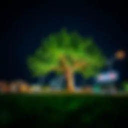 Visual representation of a tree lottery concept